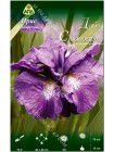 Ирис сибирский Дабл Стандарт (Iris sibirica Double Standard)