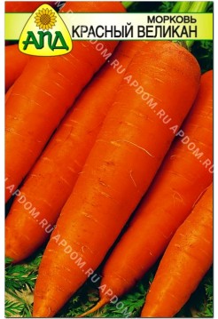 Морковь Красный Великан