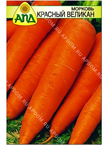 Морковь Красный Великан (Daucus carota L.)