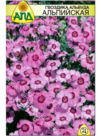 Гвоздика Альвуда альпийская (Dianthus allwoodii Alpinus)